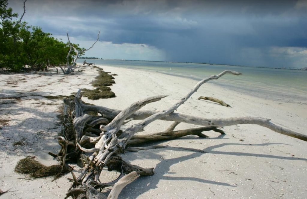 Captiva Island Beach