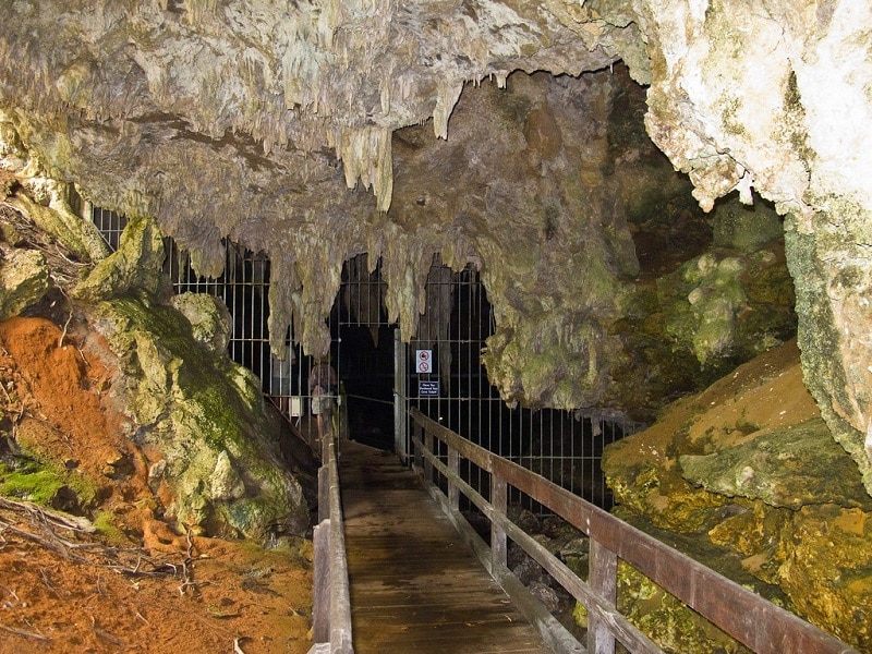 Mammoth Cave National Park