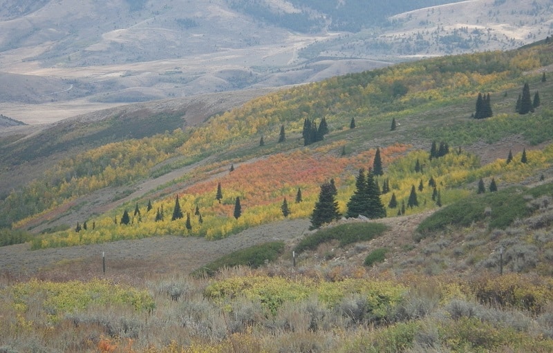 Sawtooth National Forest