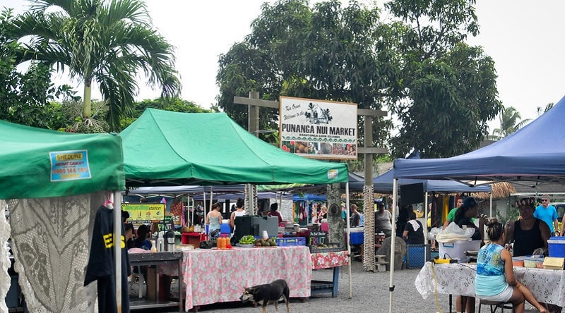 The Punangua Nui Market