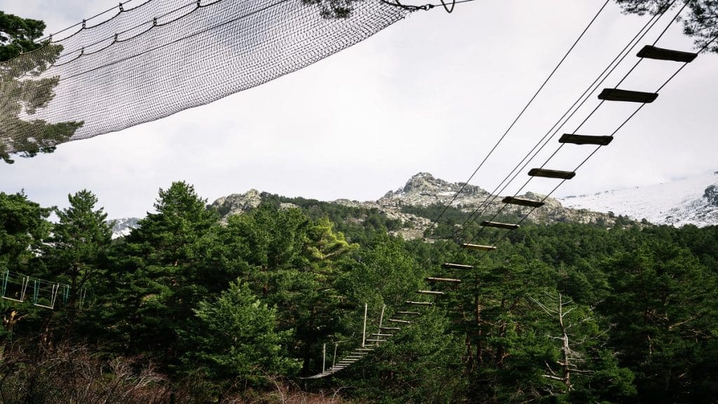 Zip line in woodland