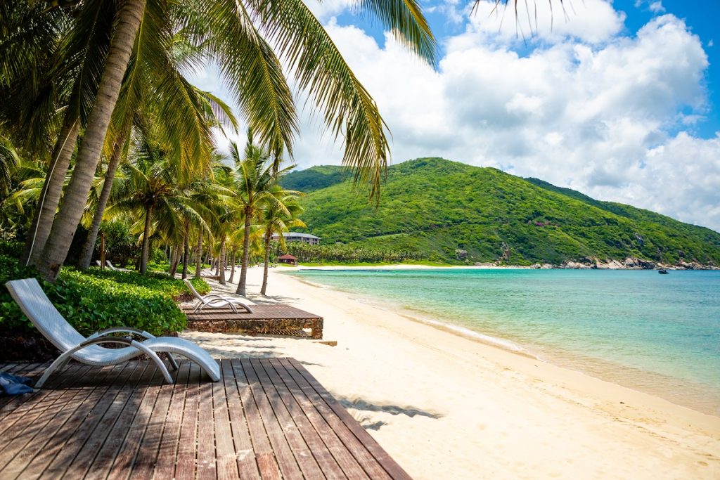 Empty Beach Resort with Palm Trees