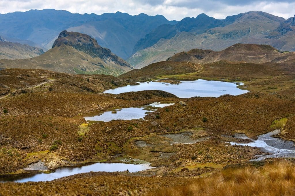 Cajas National Park