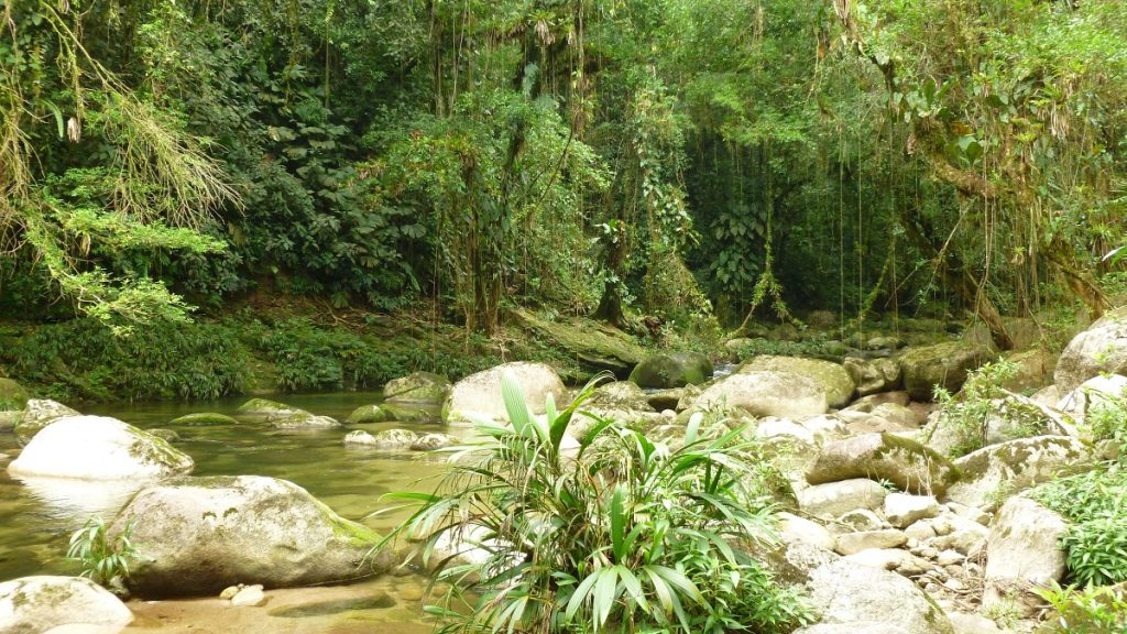 Sierra Nevada De Santa Marta