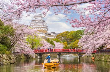 Himeji Castle in spring season