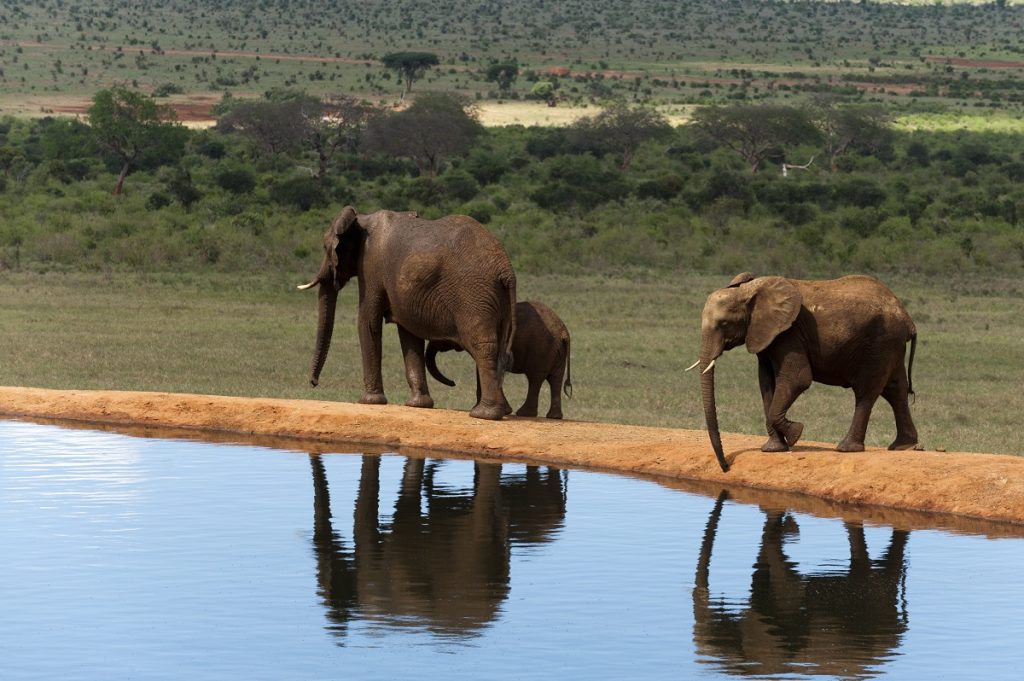 Tsavo East National Park, Kenya