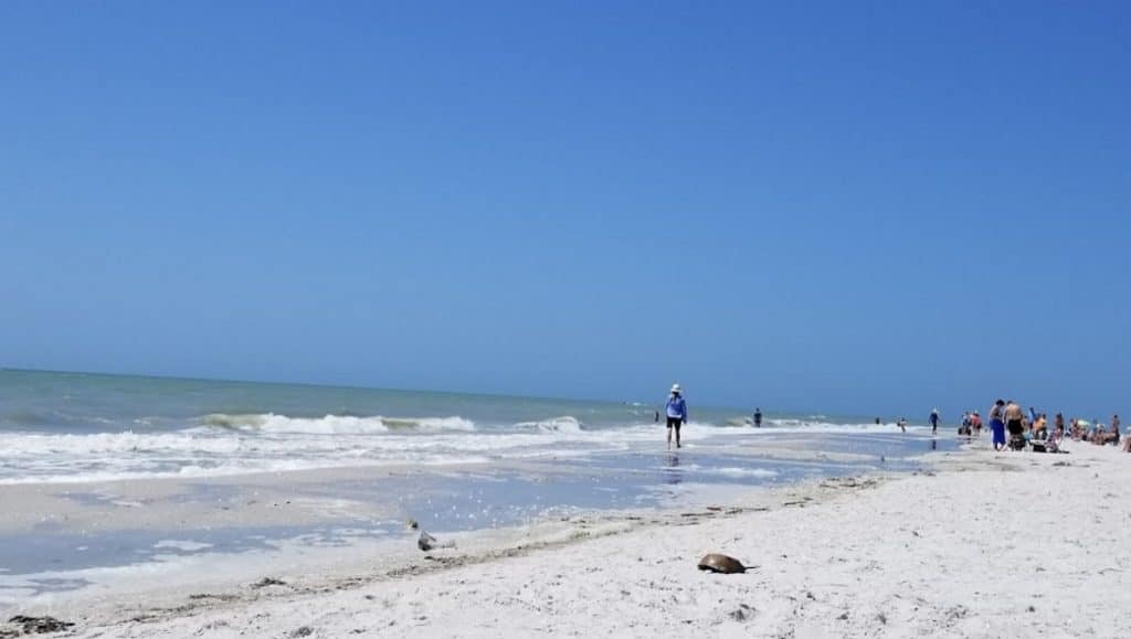 Gulf side City Park Beach