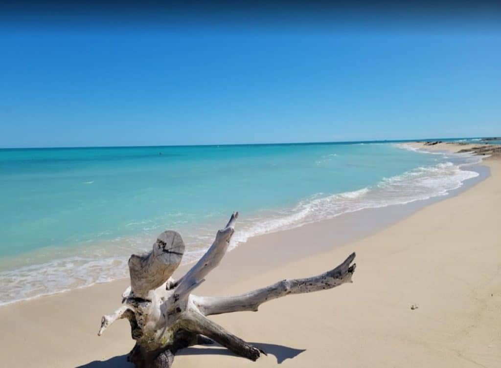 Dry Tortugas National Park