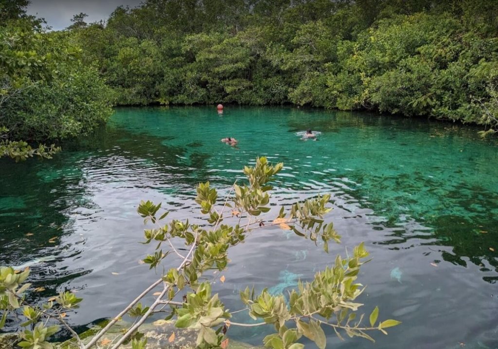 Cenote Manati