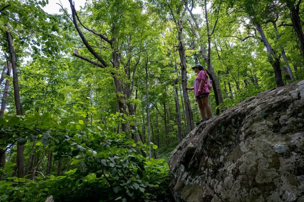 Lone Hiker Taking A Break