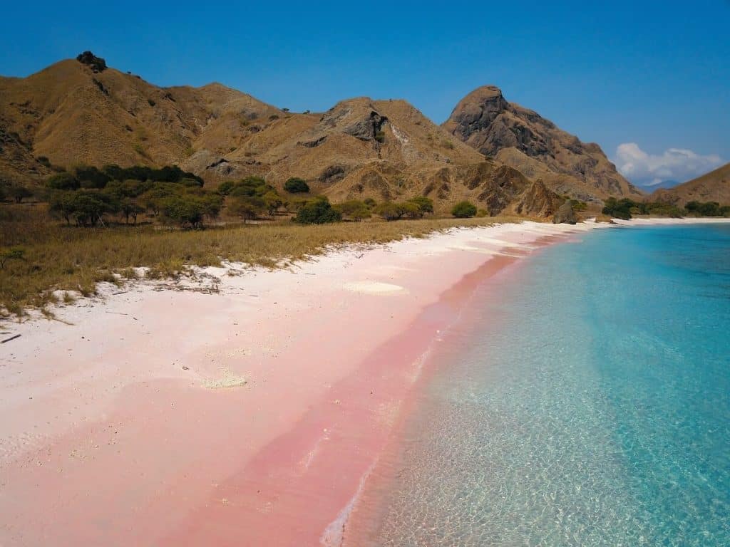 Komodo Island, Pink Beach, Indonesia