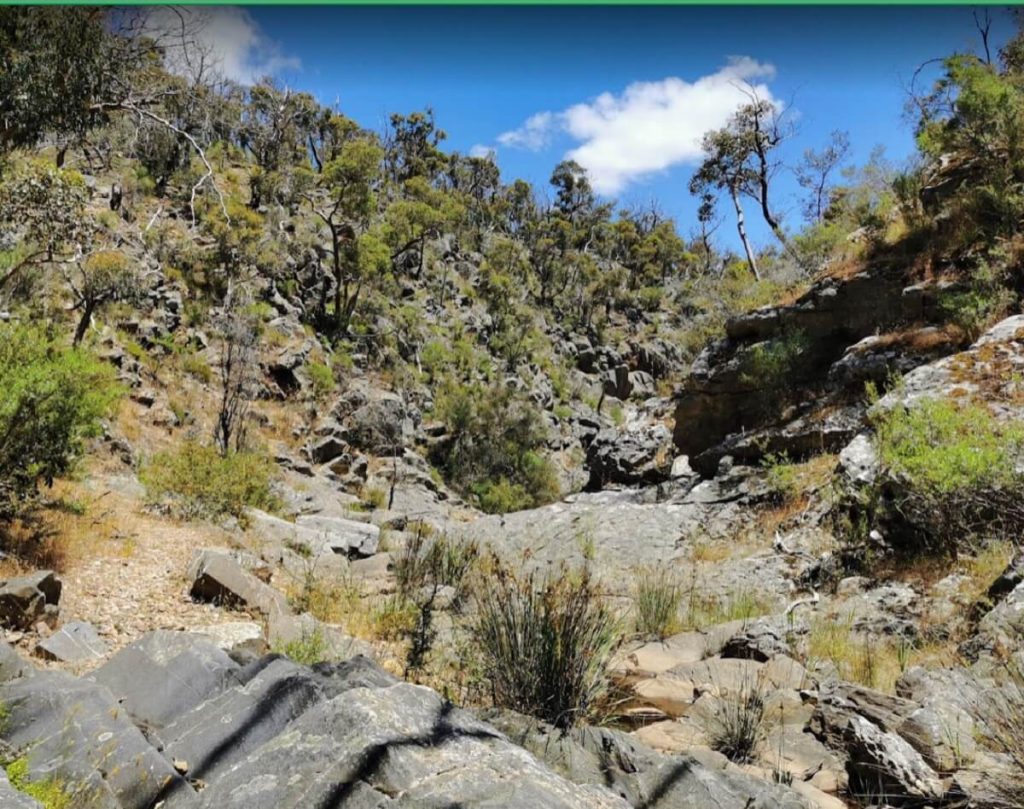 Brisbane Ranges National Park