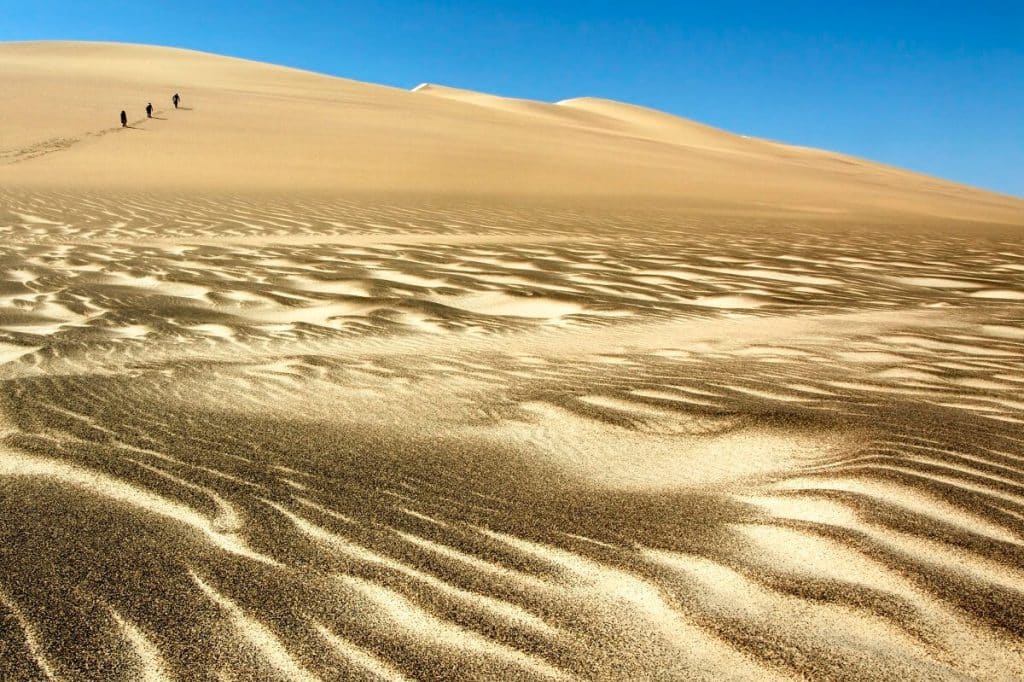 Sand Dunes Skeleton Coast, Namibia