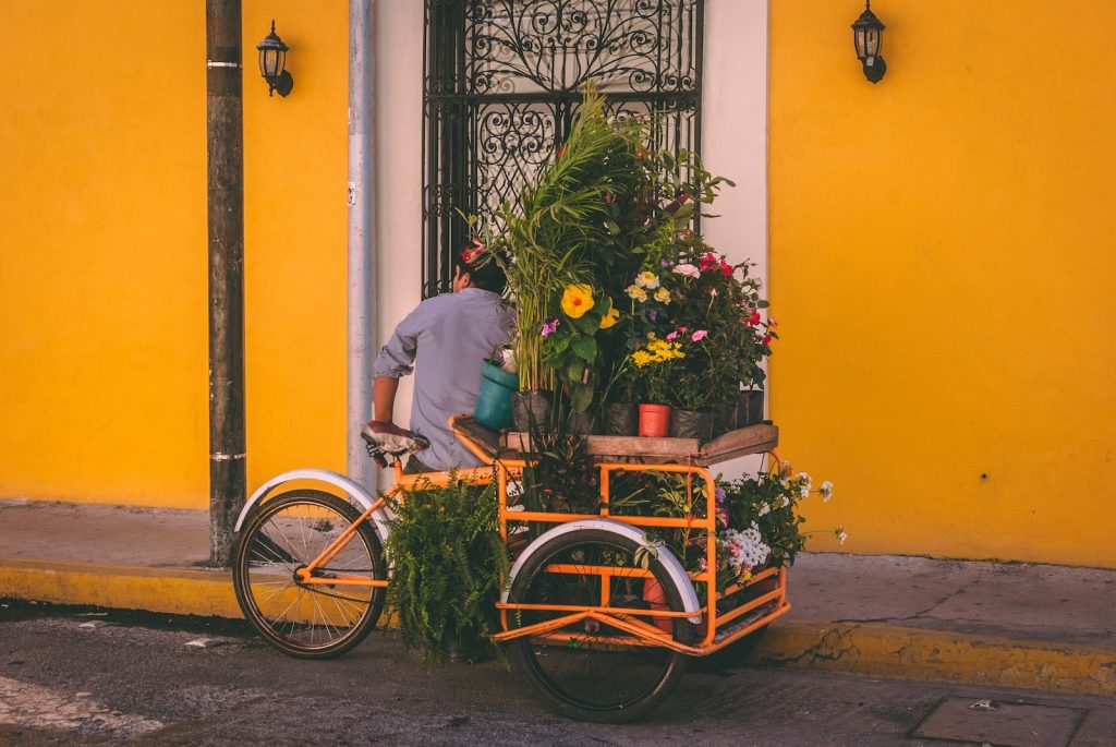 man standing near yellow trike with pots of flowers in Barrio de Santiago, Mérida, Mexico